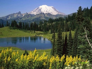 互助北山森林公园
