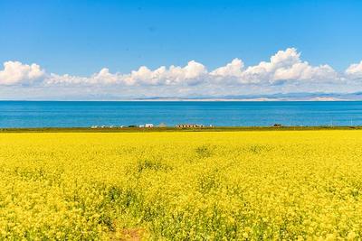 青海旅行团建
