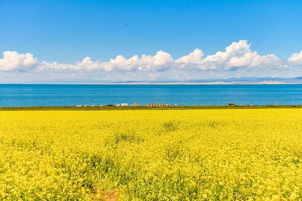 青海旅行团建